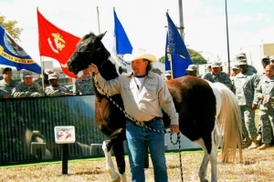 Equine Adventure Program for veterans