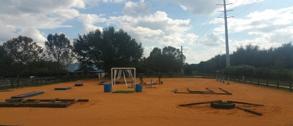 Obstacle course for Equine Assisted Recreation Therapy for Veterans. Family and children