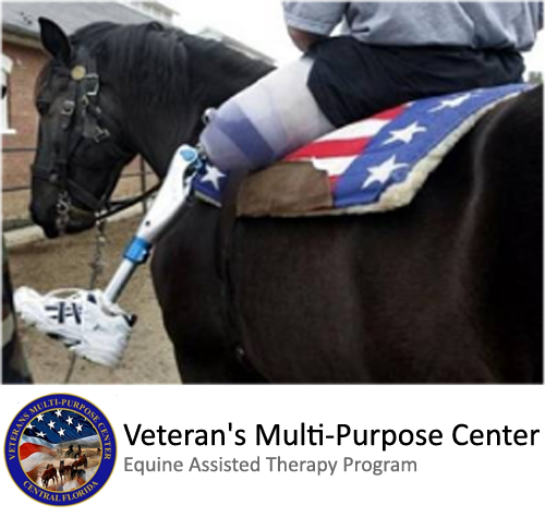 Veterans Multi Purpose Center - Horses for Vets